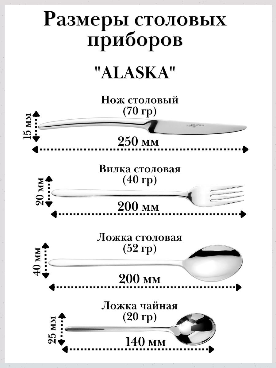 Набор столовых приборов 4 предмета ALASKA Eternum