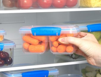 Контейнер двойной 1 л Fresh Sistema 921620