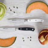 Нож для чистки овощей и фруктов «Ривьера» L=20/10 см ARCOS 230200