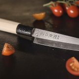 Нож кухонный «Петти» двусторонняя заточка L=23.5/12 см Sekiryu 4072472
