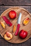 Кухонный овощной нож в ножнах Fuji Cutlery, рукоять термопластик FK-431