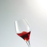 Бокал для вина «Финесс» 440мл Schott Zwiesel 1051037
